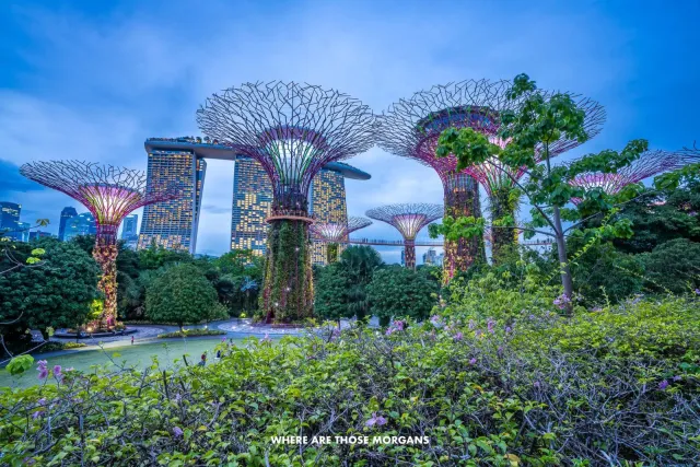 Gardens by the Bay