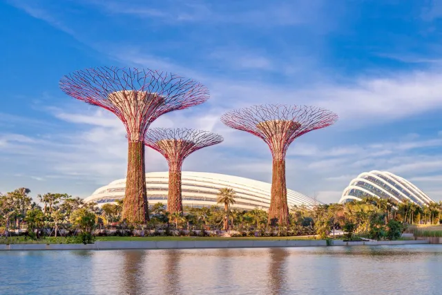 Supertree Grove, Gardens by the Bay
