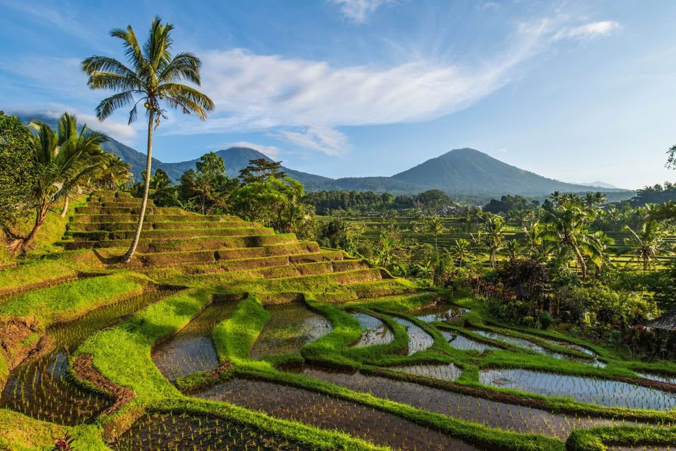 Bali Travel Guide: Ubud, Uluwatu, Nusa Penida & the South